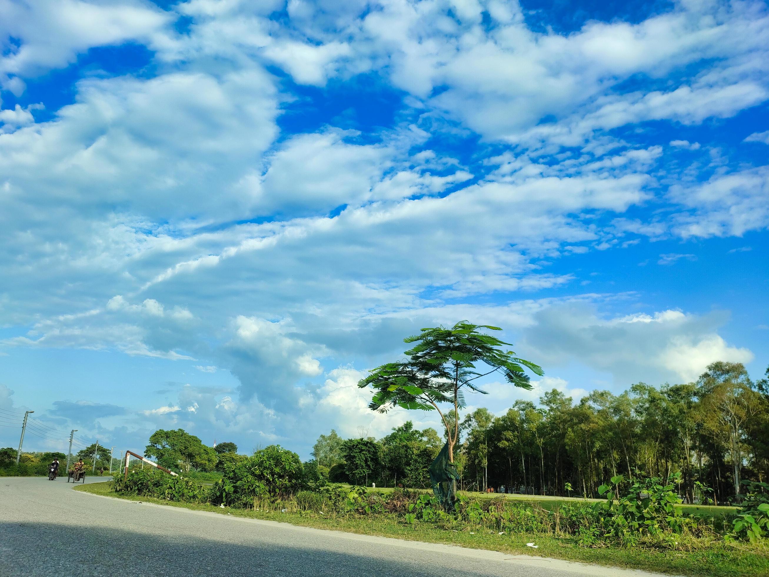 Down angle view with blue sky in Asia.Beauty natural scenery. Stock Free