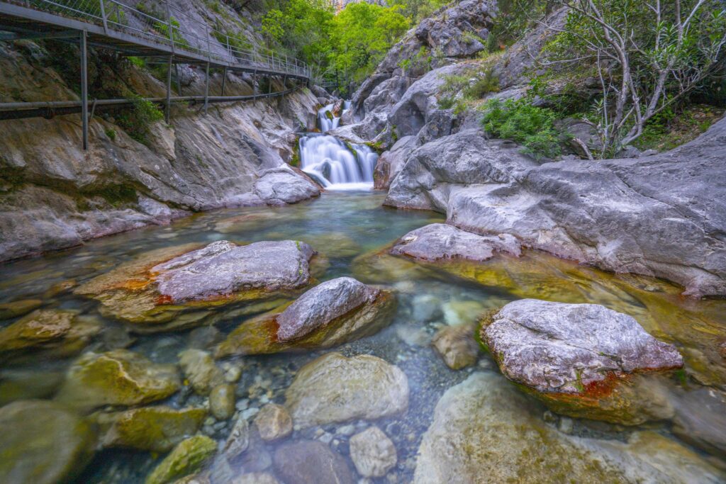 Mountain river stream waterfall green forest Landscape nature plant tree rainforest jungle Stock Free