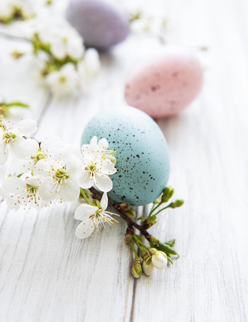 Colorful Easter eggs with spring blossom flowers Stock Free