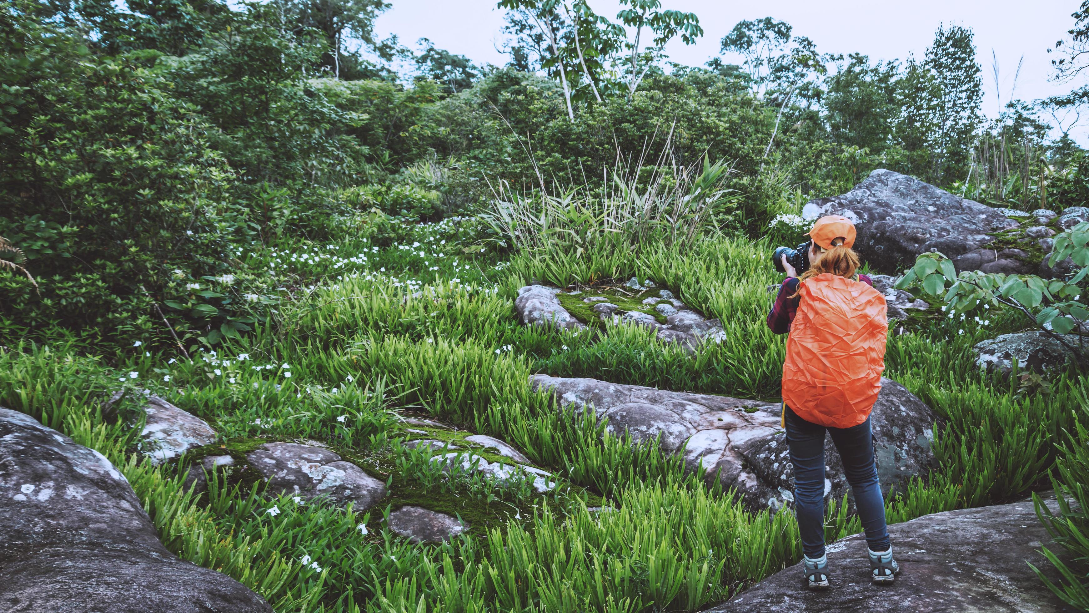 Woman asian travel nature. Travel relax. Walk study the path Nature in the forest. Flower Photography Stock Free