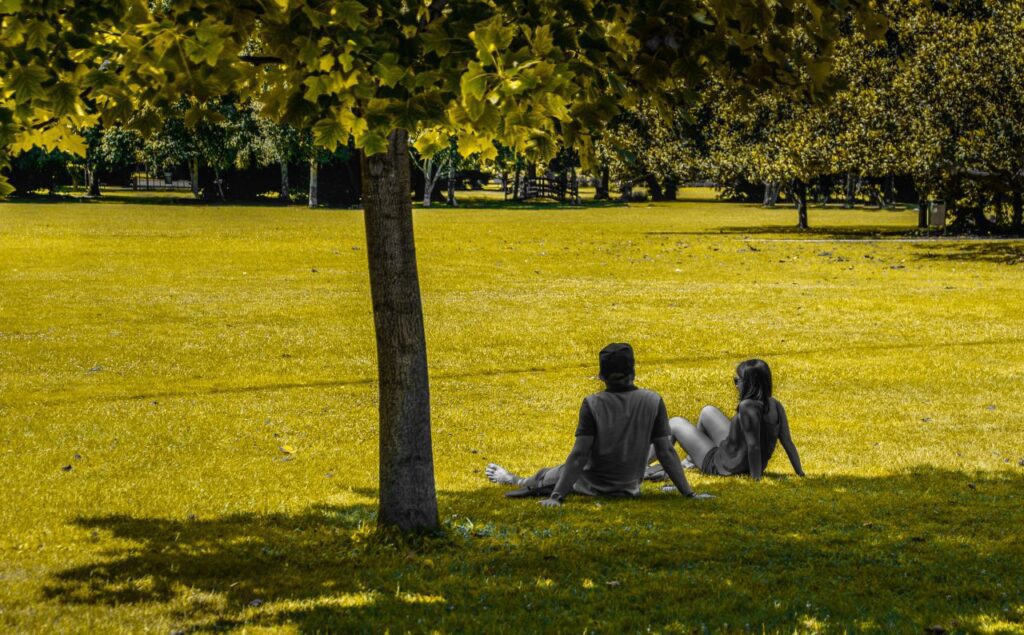 Sitting in the park Stock Free