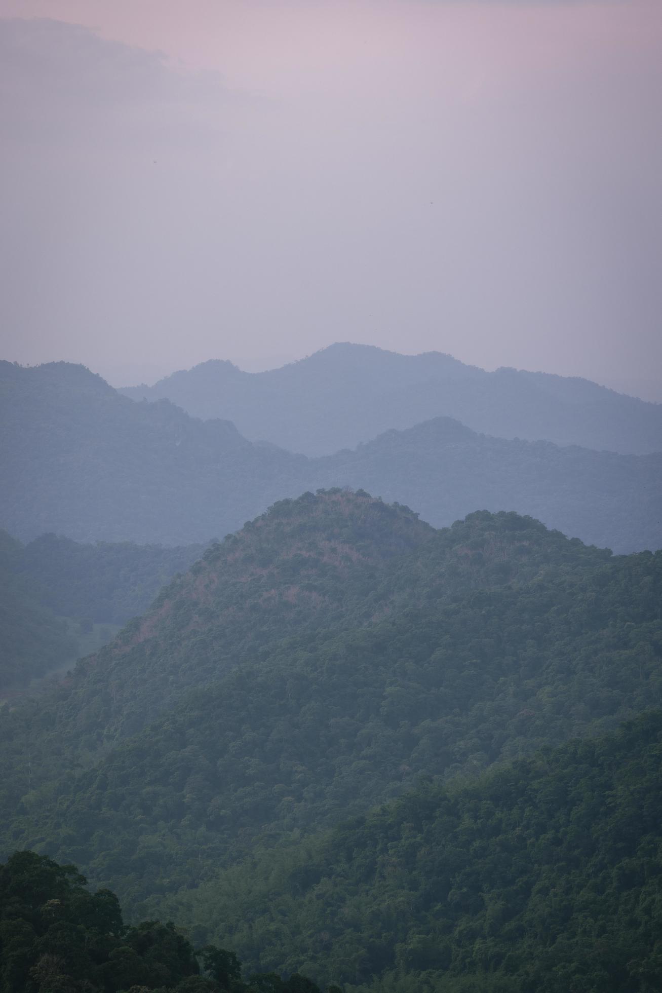 Beautiful nature, sky, trees, evening atmosphere at Khao Yai National Park, Thailand Stock Free