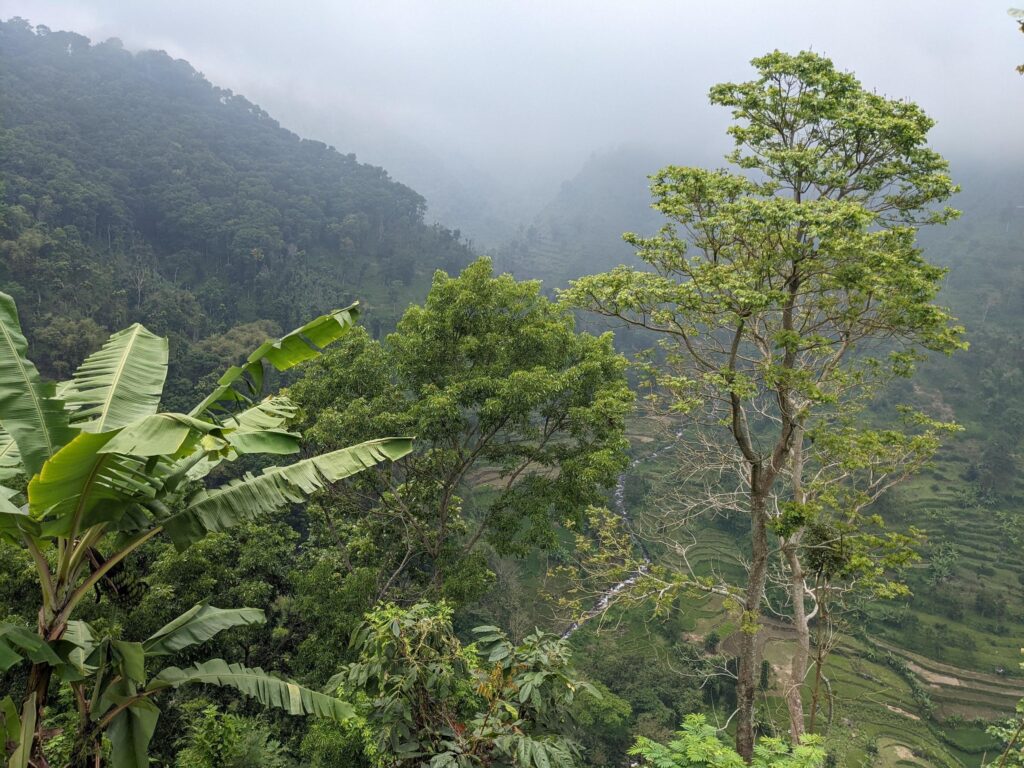 Landscape photo of mountain with fogging forest and cloudy sky. The photo is suitable to use for climate changes poster and nature background. Stock Free