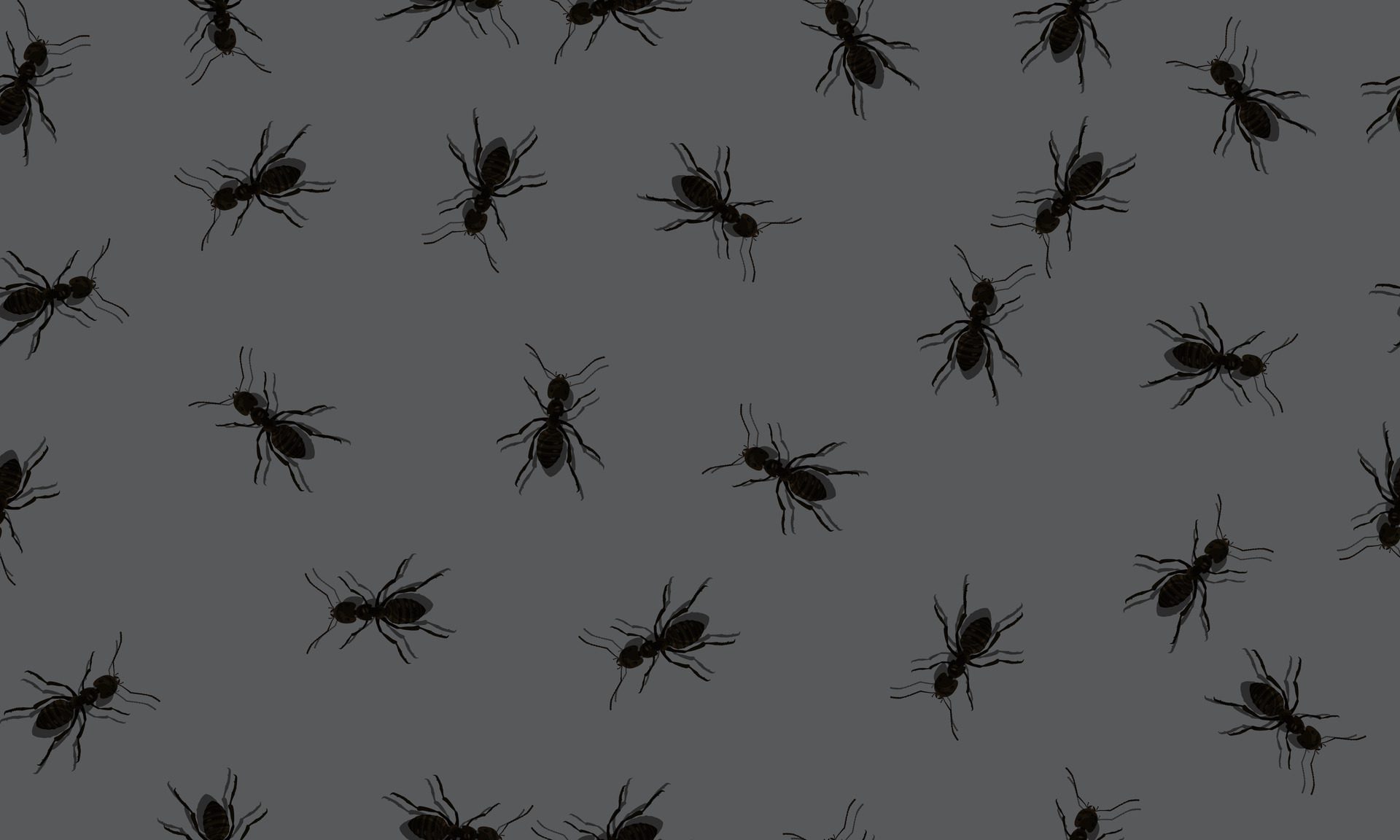 Seamless pattern wallpaper with black ants. Free Vector