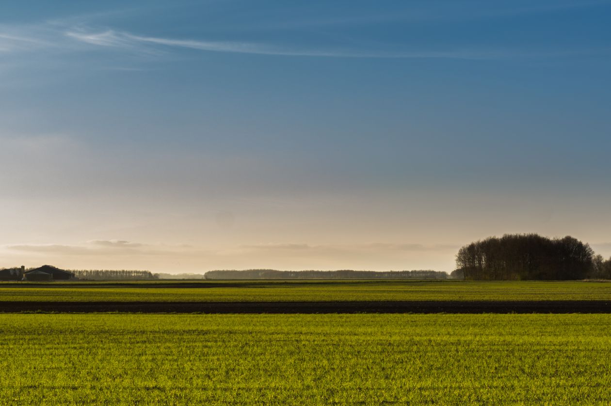 Dutch landscape Stock Free