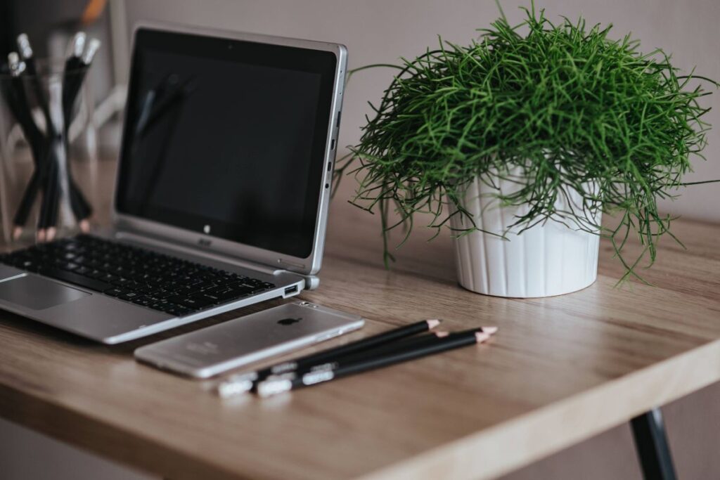 Silver Acer laptop on a wooden desk with a green plant, pencils and an Apple iPhone Stock Free