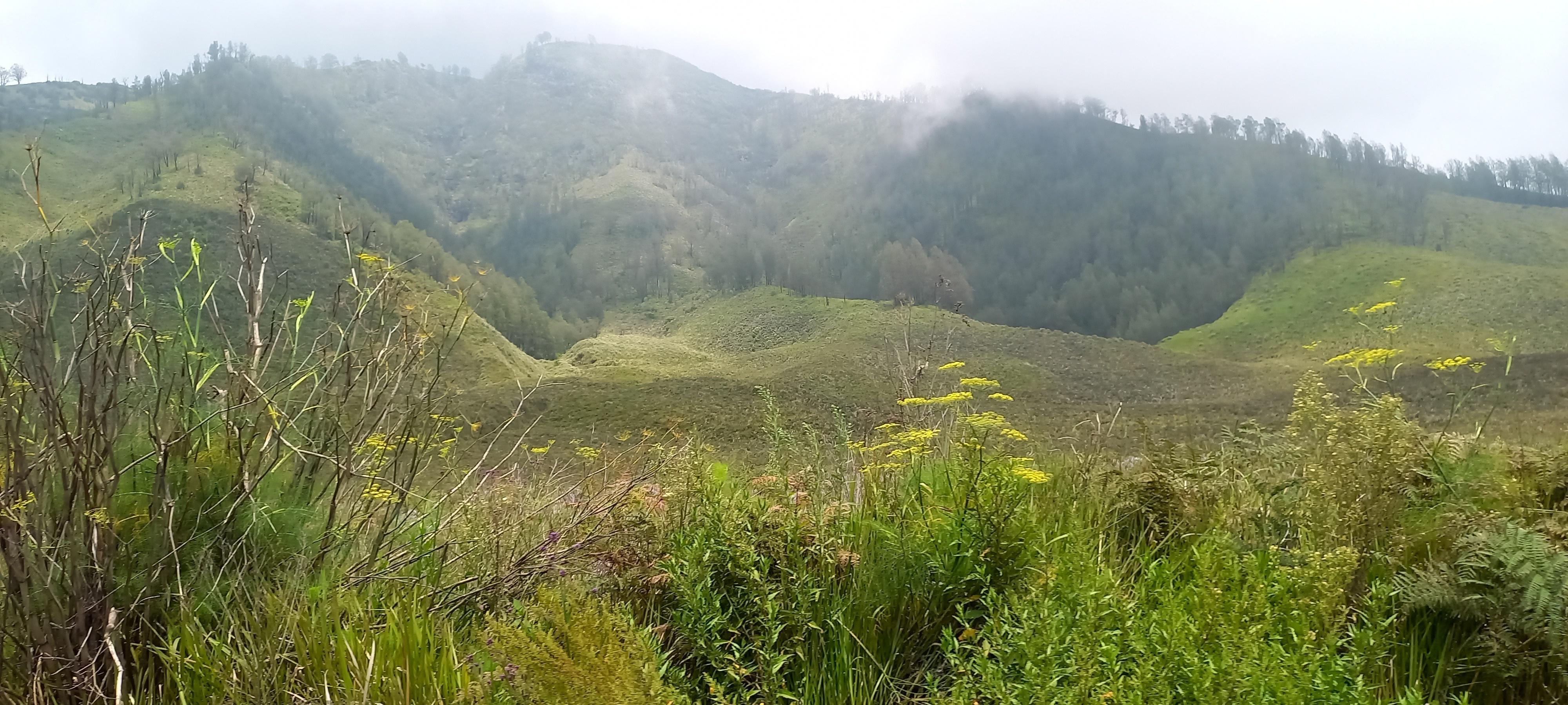 See the natural beauty of Mount Bromo, Indonesia Stock Free