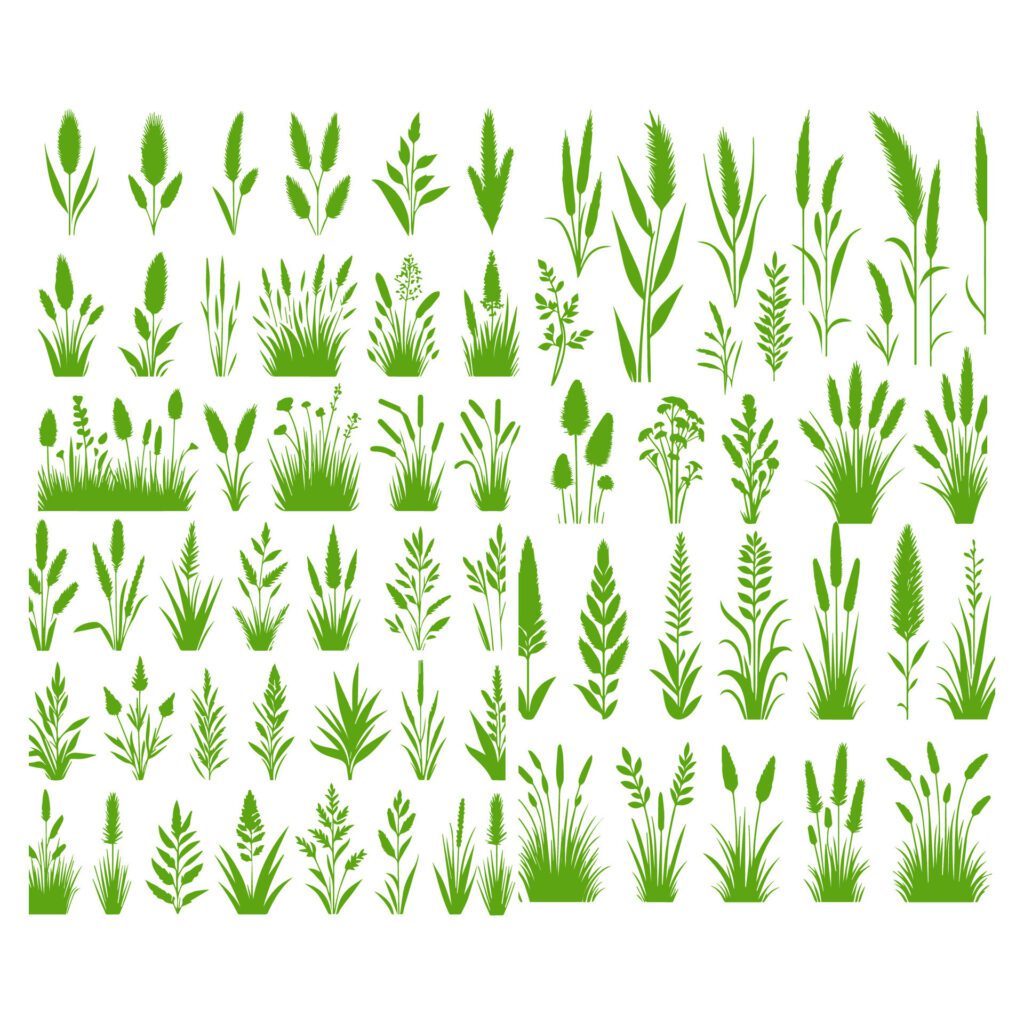 Vector green grass natural, organic, bio, eco label and shape on white background. Free Vector