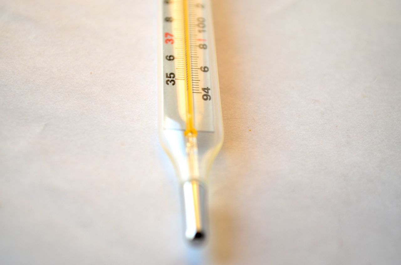 Thermometer 2 Stock Free