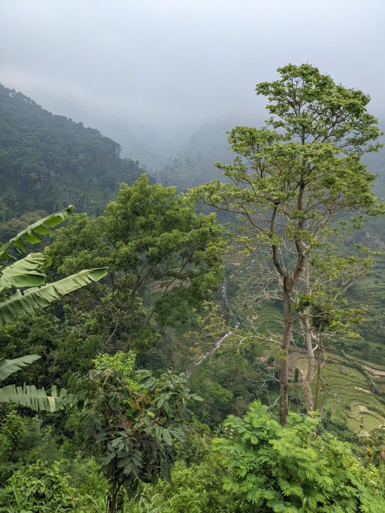 Landscape photo of mountain with fogging forest and cloudy sky. The photo is suitable to use for climate changes poster and nature background. Stock Free