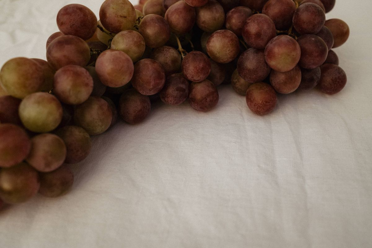 Rustic Elegance: Free Stock Photos of Grapes and Fruit Aesthetic Stock Free