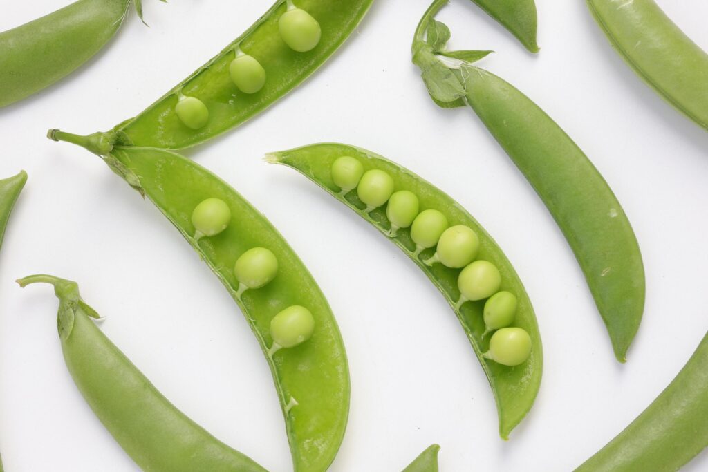 Pea on white background Stock Free