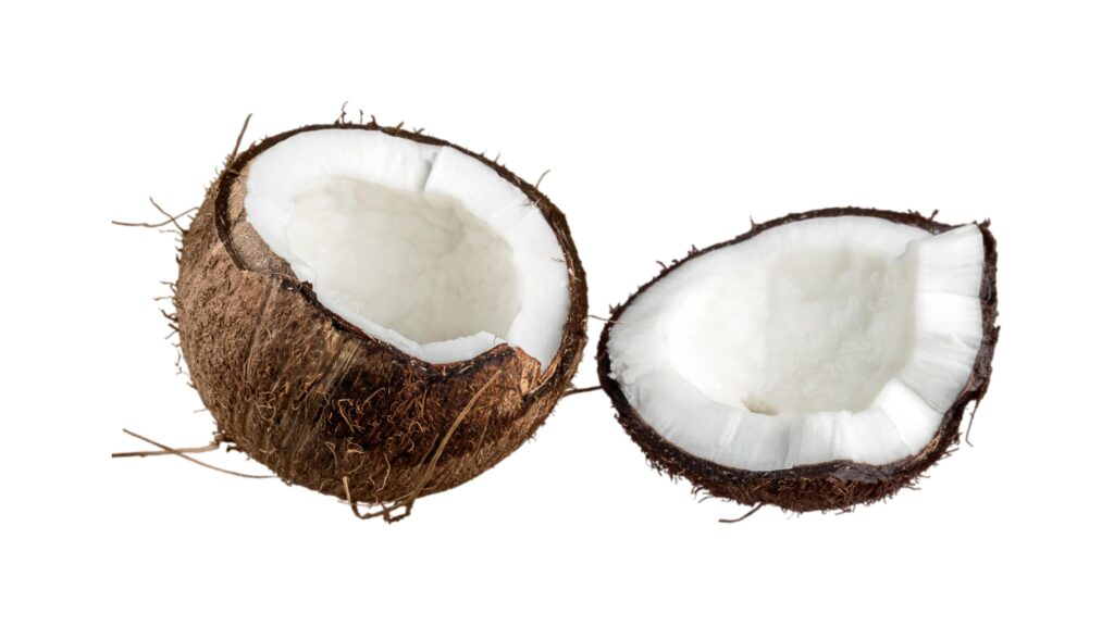 coconut on a white background Stock Free