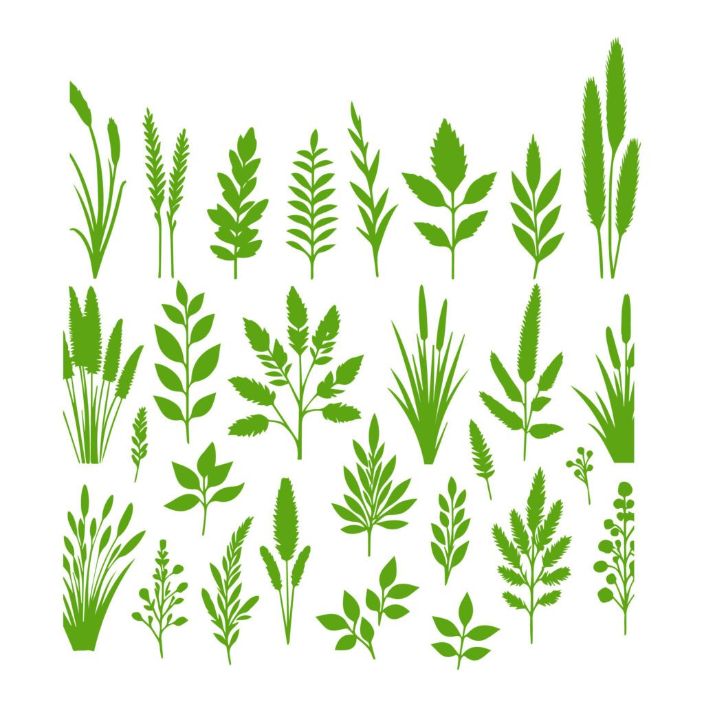 Vector green grass natural, organic, bio, eco label and shape on white background. Free Vector