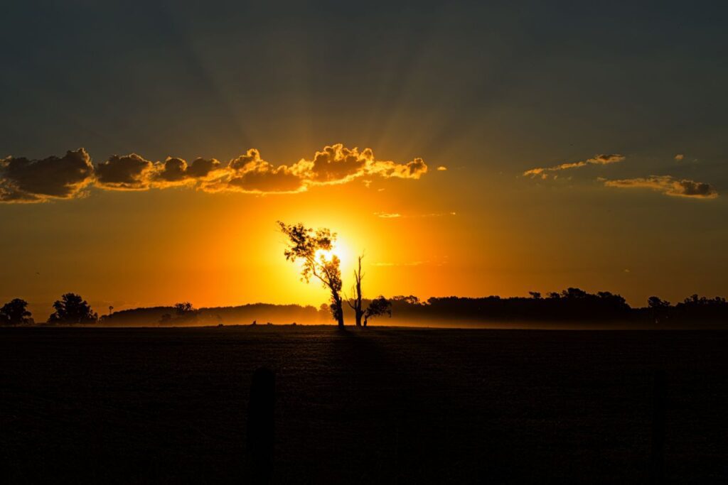 Backlit Stock Free