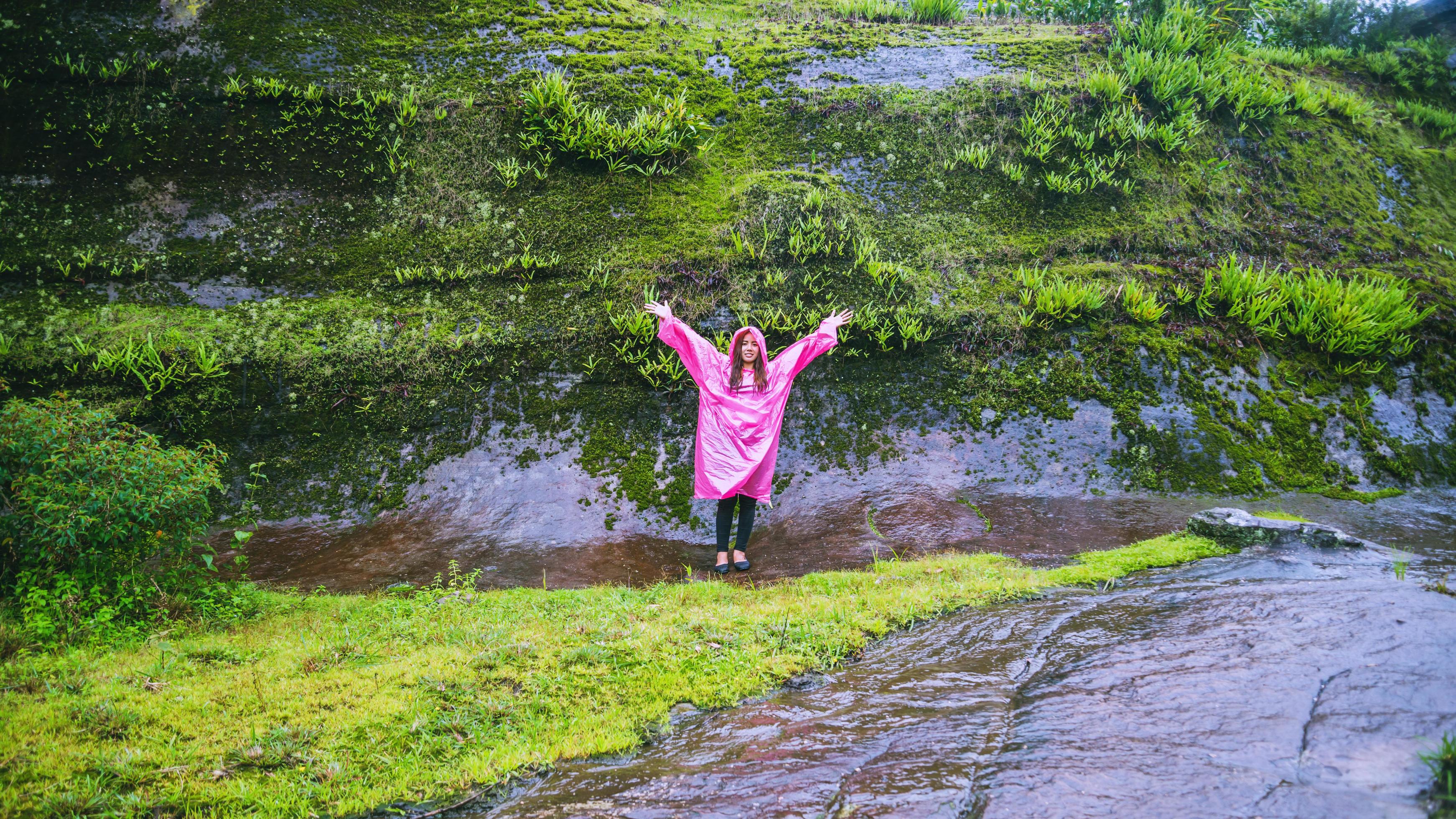 tourist with pink rain coat walking travel adventure nature in the rain forest. travel nature, Travel relax, Travel Thailand, rainy season. Stock Free