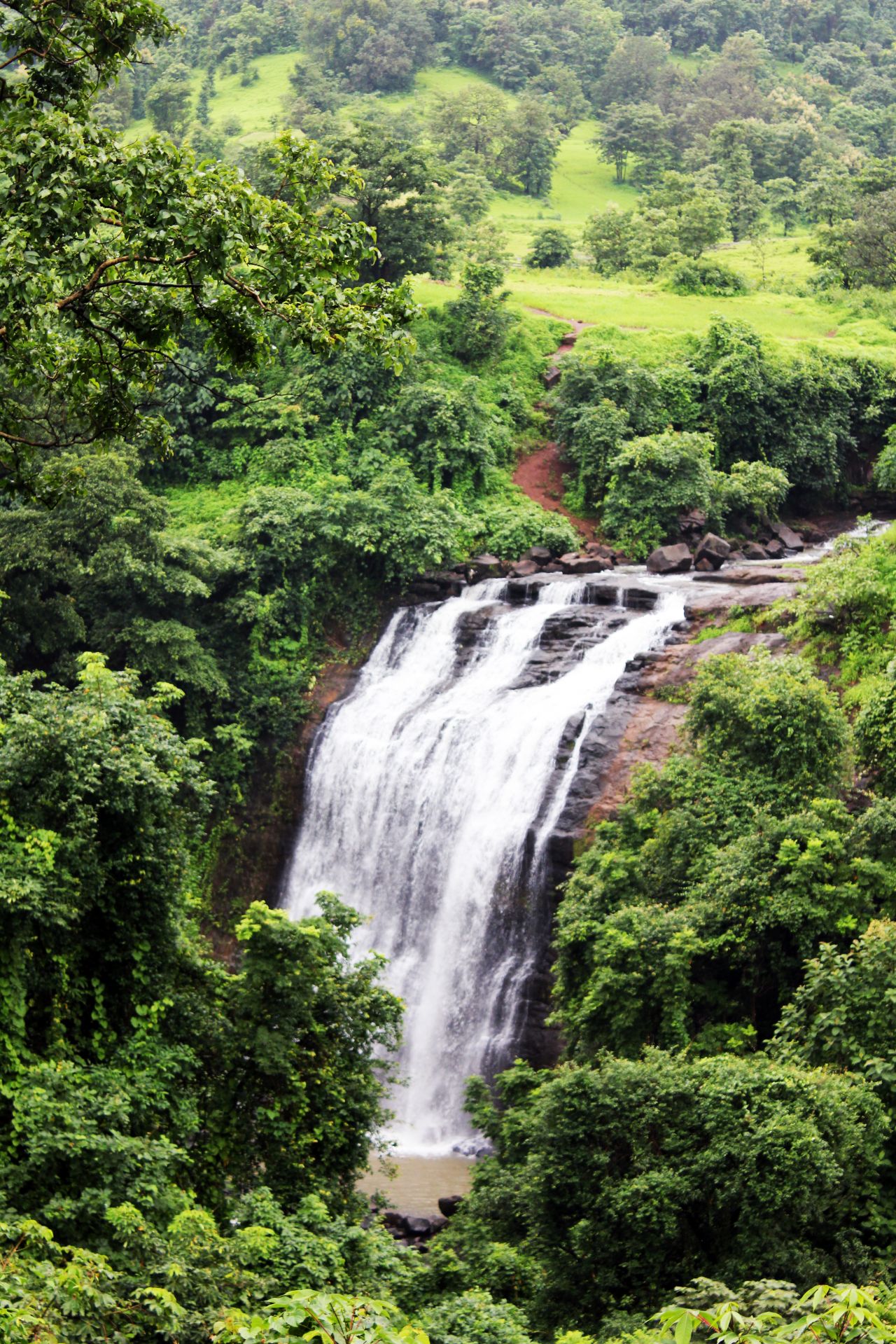 Waterfall Greenery Stock Free