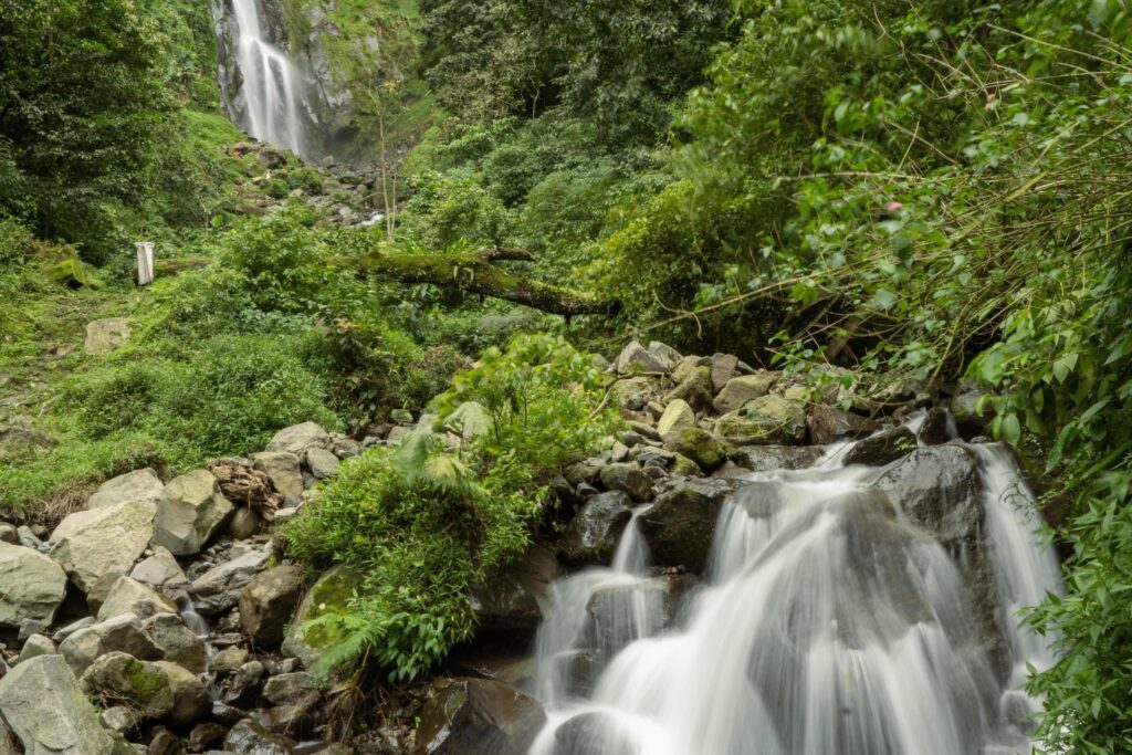 Scenery of single water fall on the tropical forest. The photo is suitable to use for adventure content media, nature poster and forest background. Stock Free