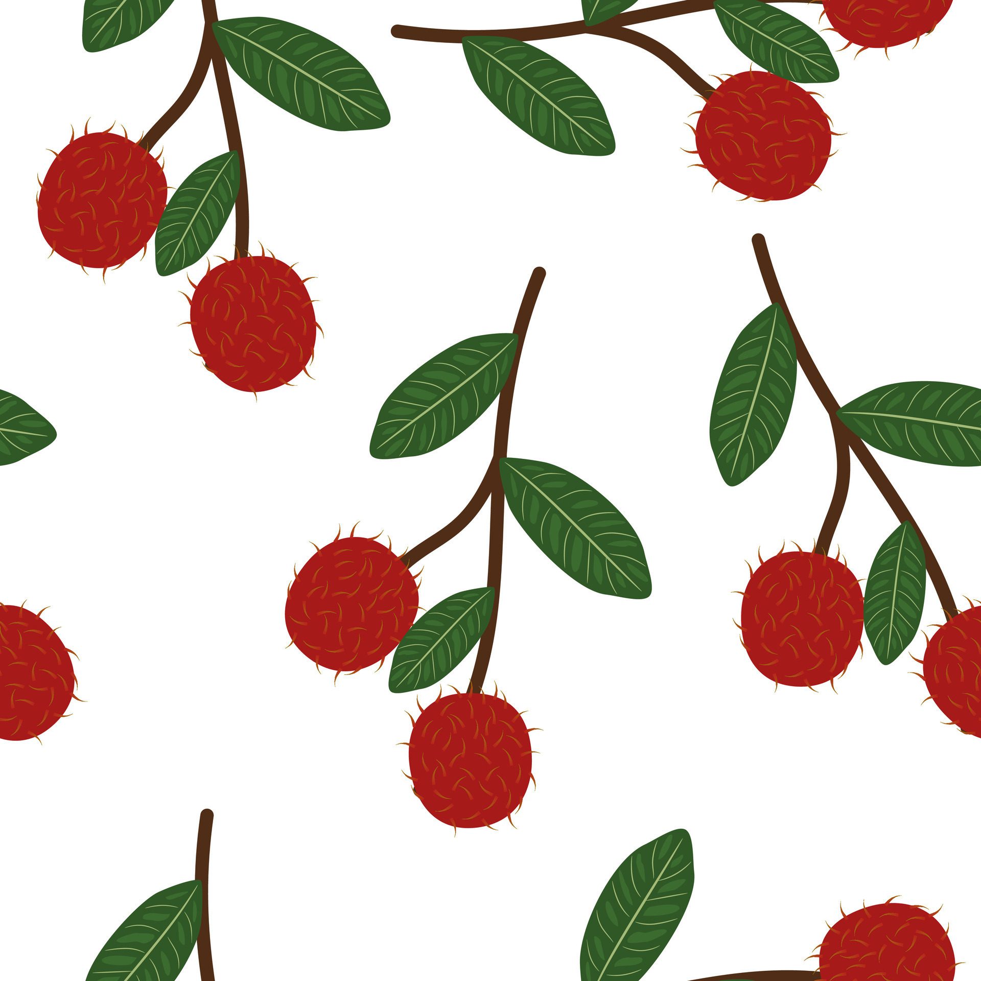 Fresh Rambutan Tropical Fruit Seamless Pattern On White Background Free Vector