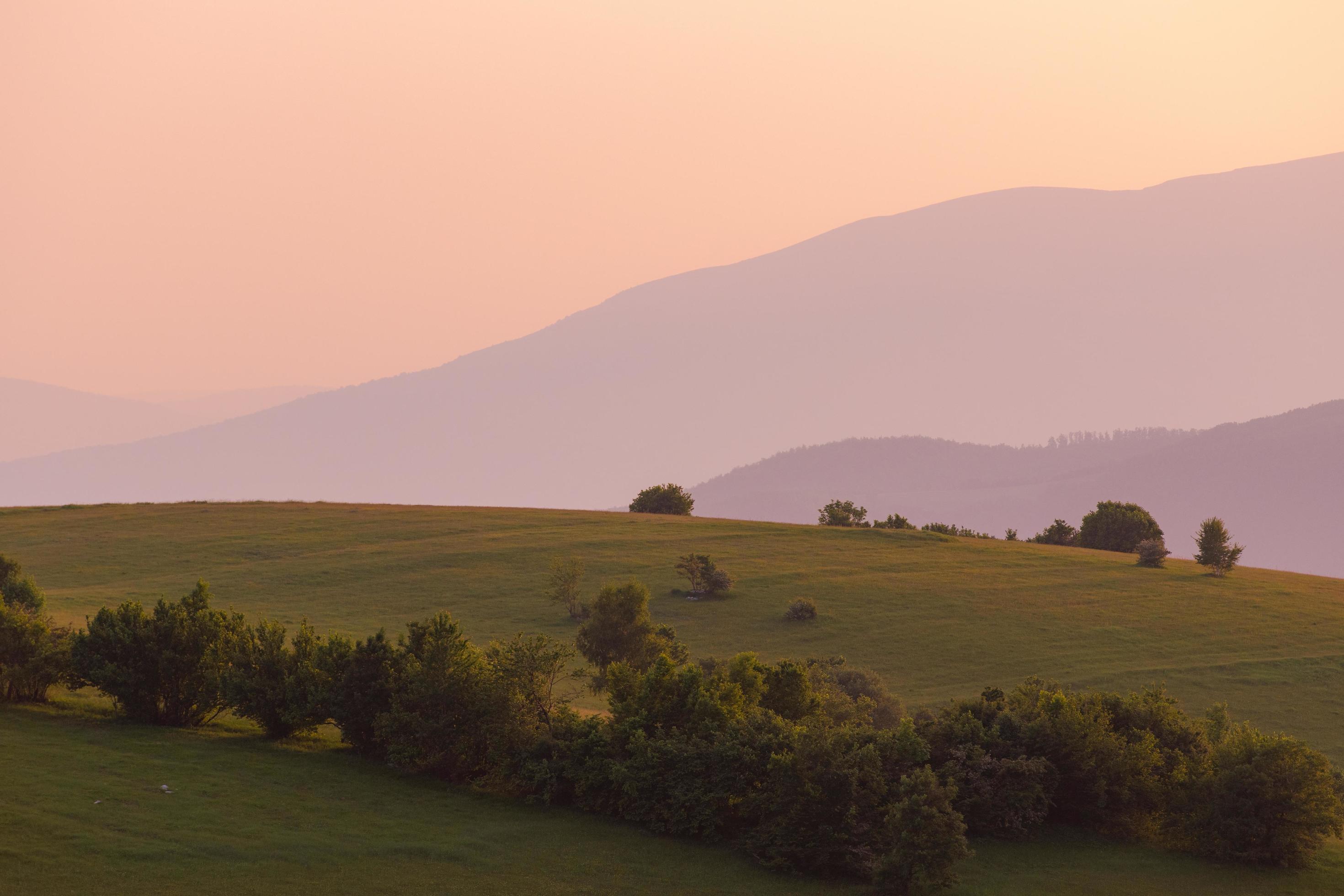 landscape nature summer Stock Free