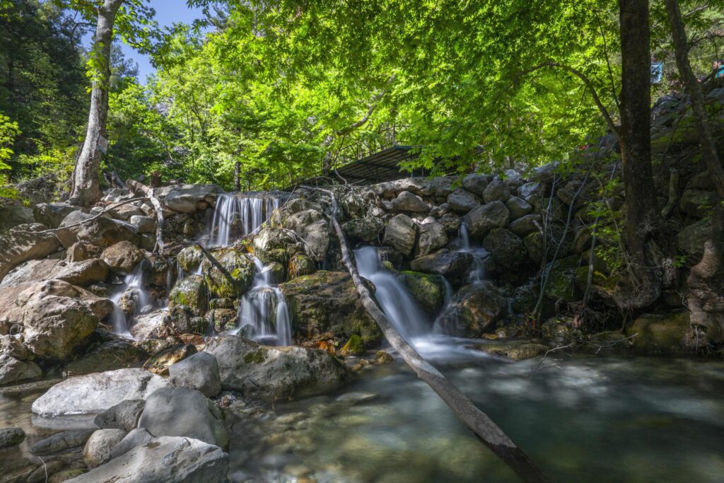 Mountain river stream waterfall green forest Landscape nature plant tree rainforest jungle Stock Free