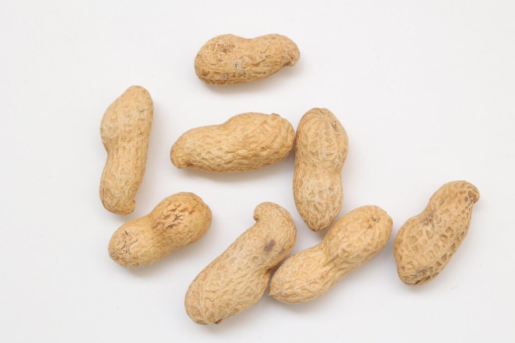 Peanut on white background Stock Free