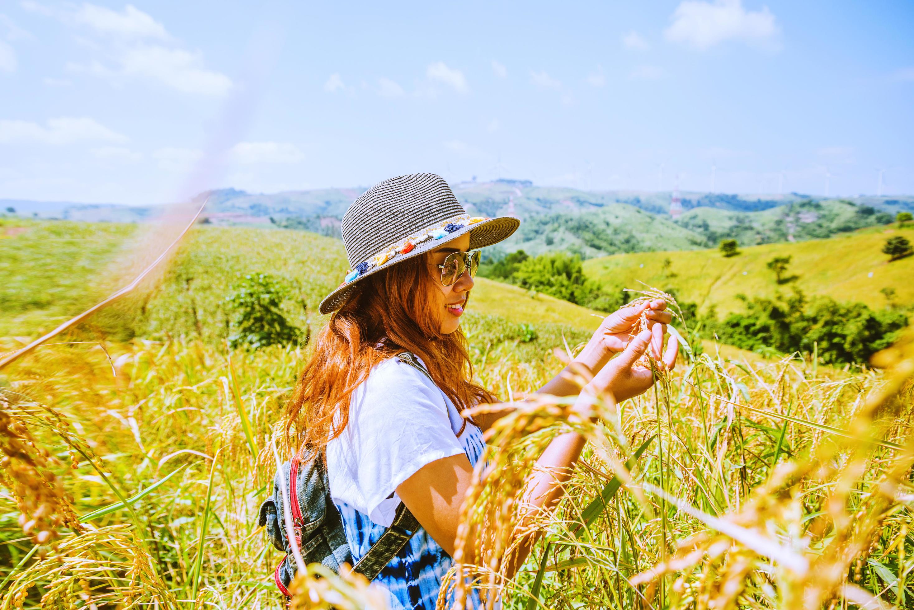 Asian women travel Rice fields green On the mountains in the holiday. happy and enjoying a beautiful nature. Rice fields Golden. summer Stock Free