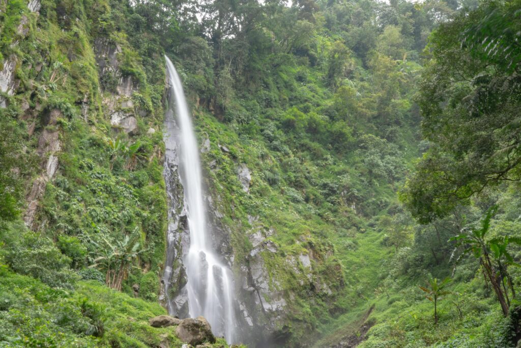 Scenery of single water fall on the tropical forest. The photo is suitable to use for adventure content media, nature poster and forest background. Stock Free