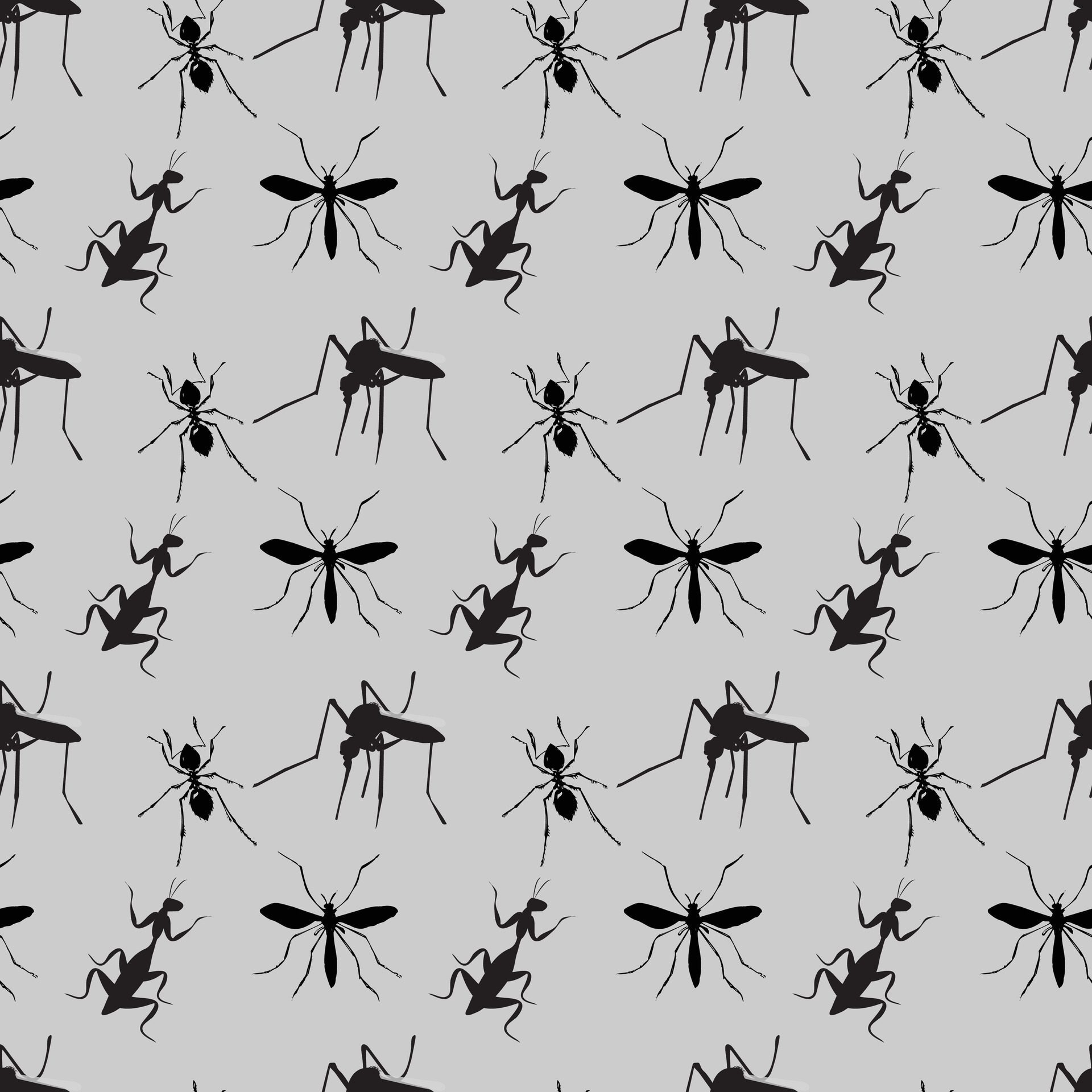 The Insect Collection Of Edgar Allan Seamless Pattern Design Free Vector