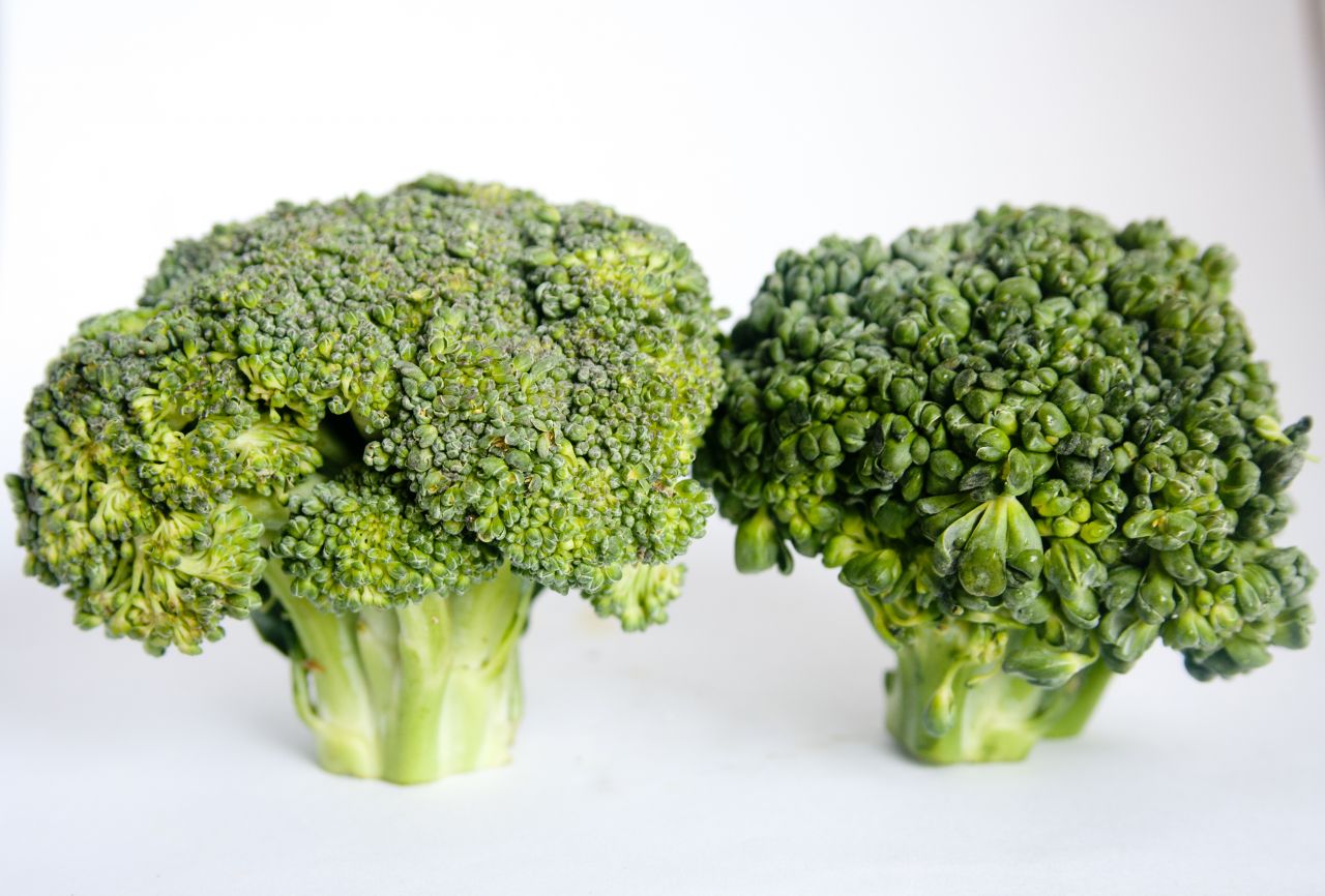 Broccoli Stock Free