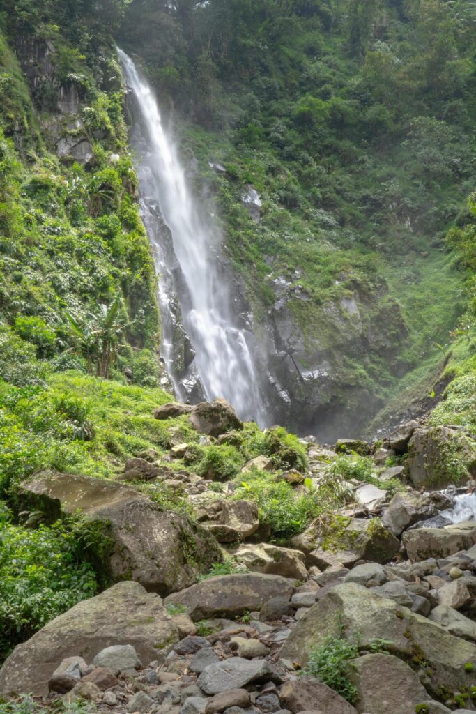 Scenery of single water fall on the tropical forest. The photo is suitable to use for adventure content media, nature poster and forest background. Stock Free