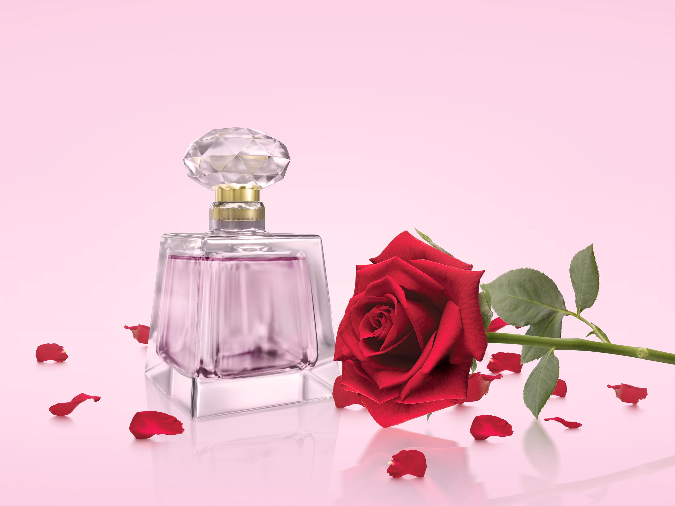 perfume bottle with rose flowers on pink background Stock Free