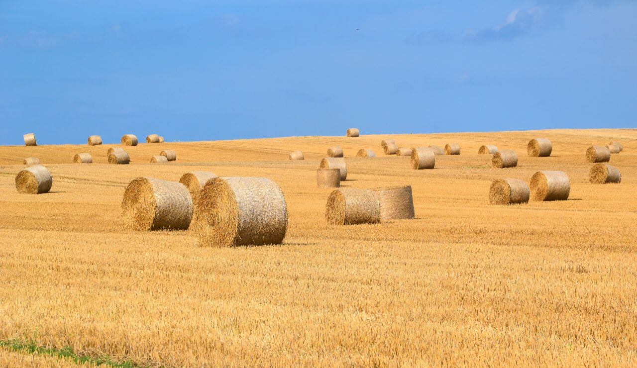 Agriculture Stock Free