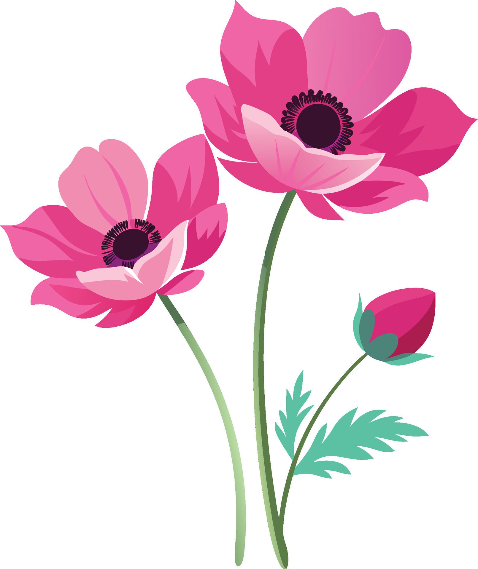 Adorable Anemone blooms with delicate petals and charming design. AI-generated. Free Vector