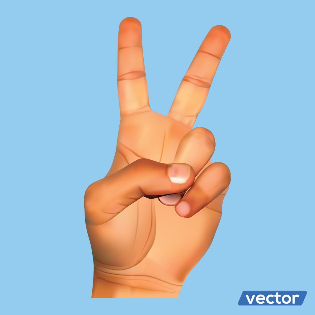 Hands holding gestures. Elegant female and male hand showing victory at something on white background Free Vector