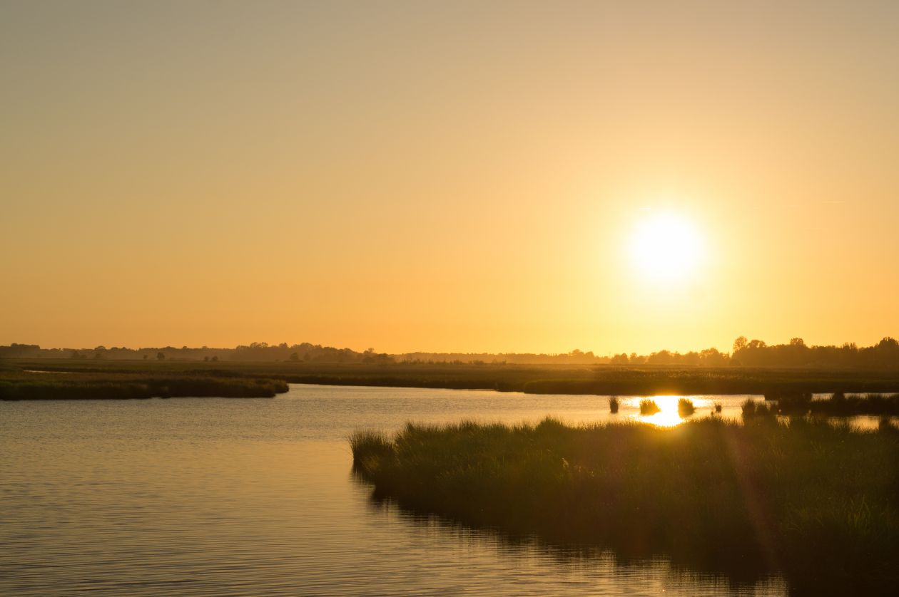 Sunny sunset at the lake Stock Free