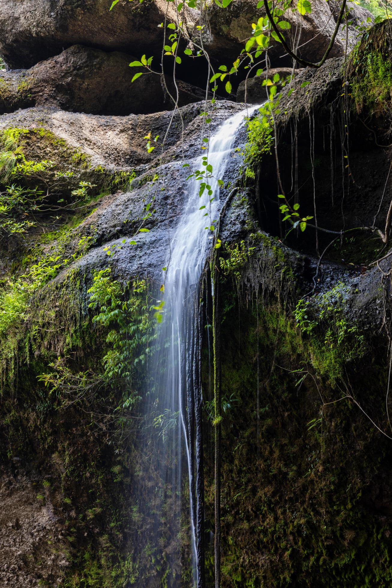 A natural waterfall in a big forest in the midst of beautiful nature. Stock Free