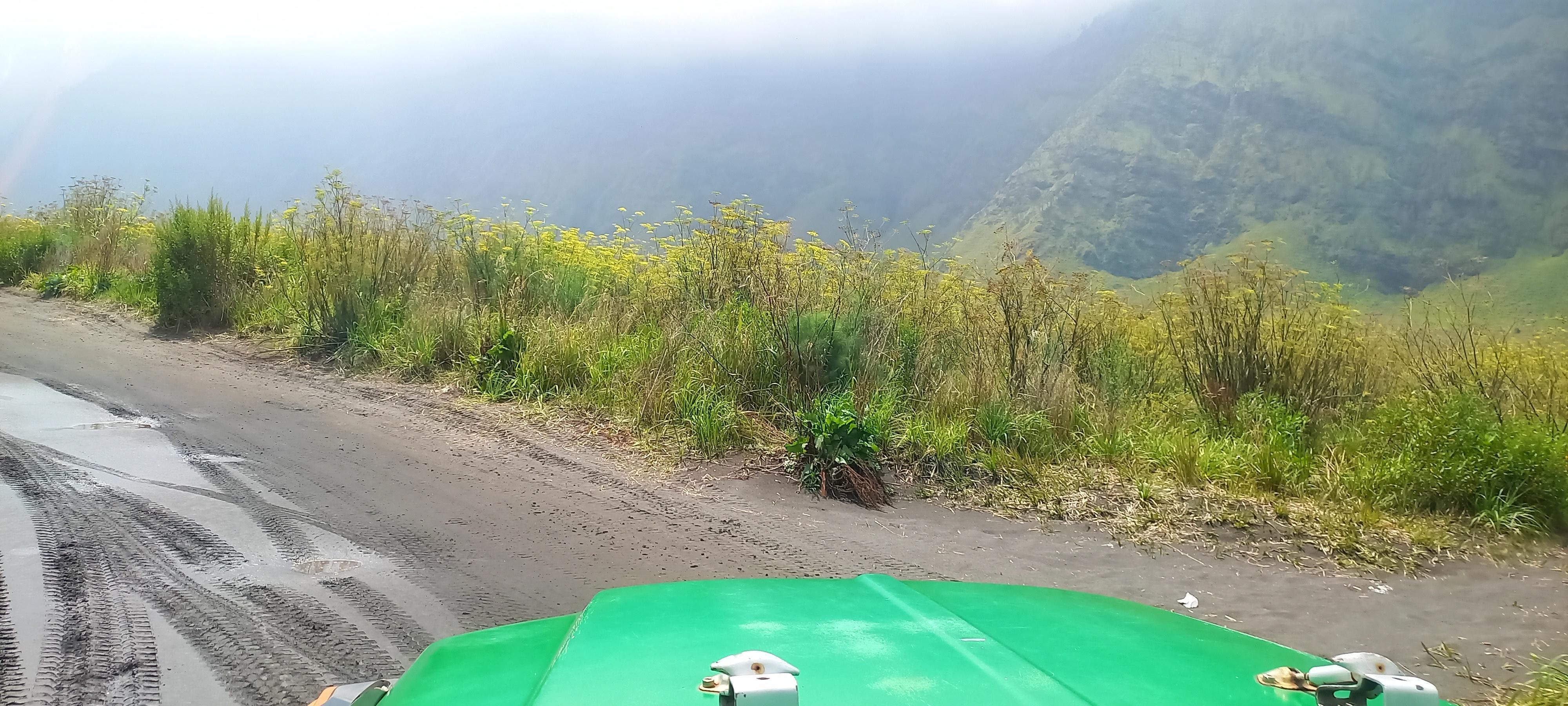 See the natural beauty of Mount Bromo, Indonesia Stock Free