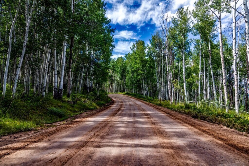 Aspens Stock Free