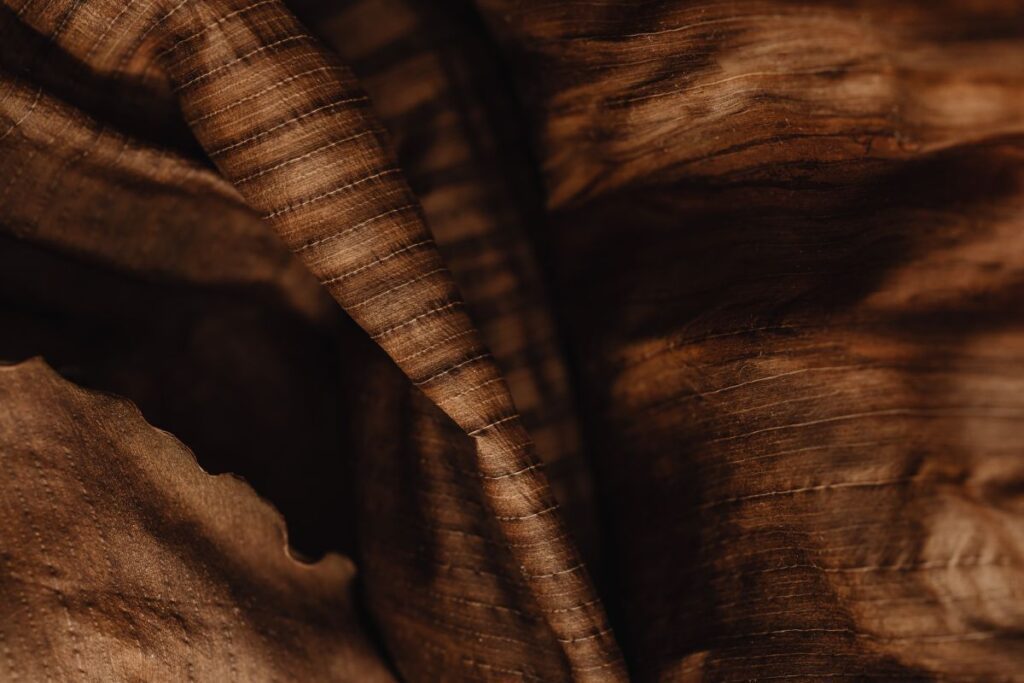 Close Up Detail Of A Dried Leaf – Banana Plant Stock Free