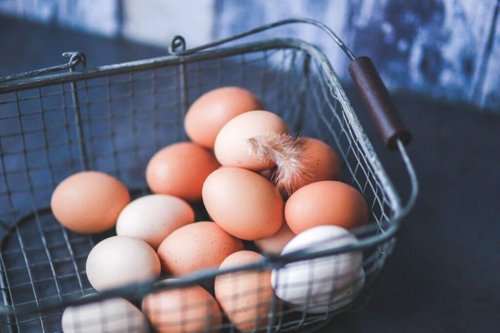 Eggs in Metal Basket Stock Free