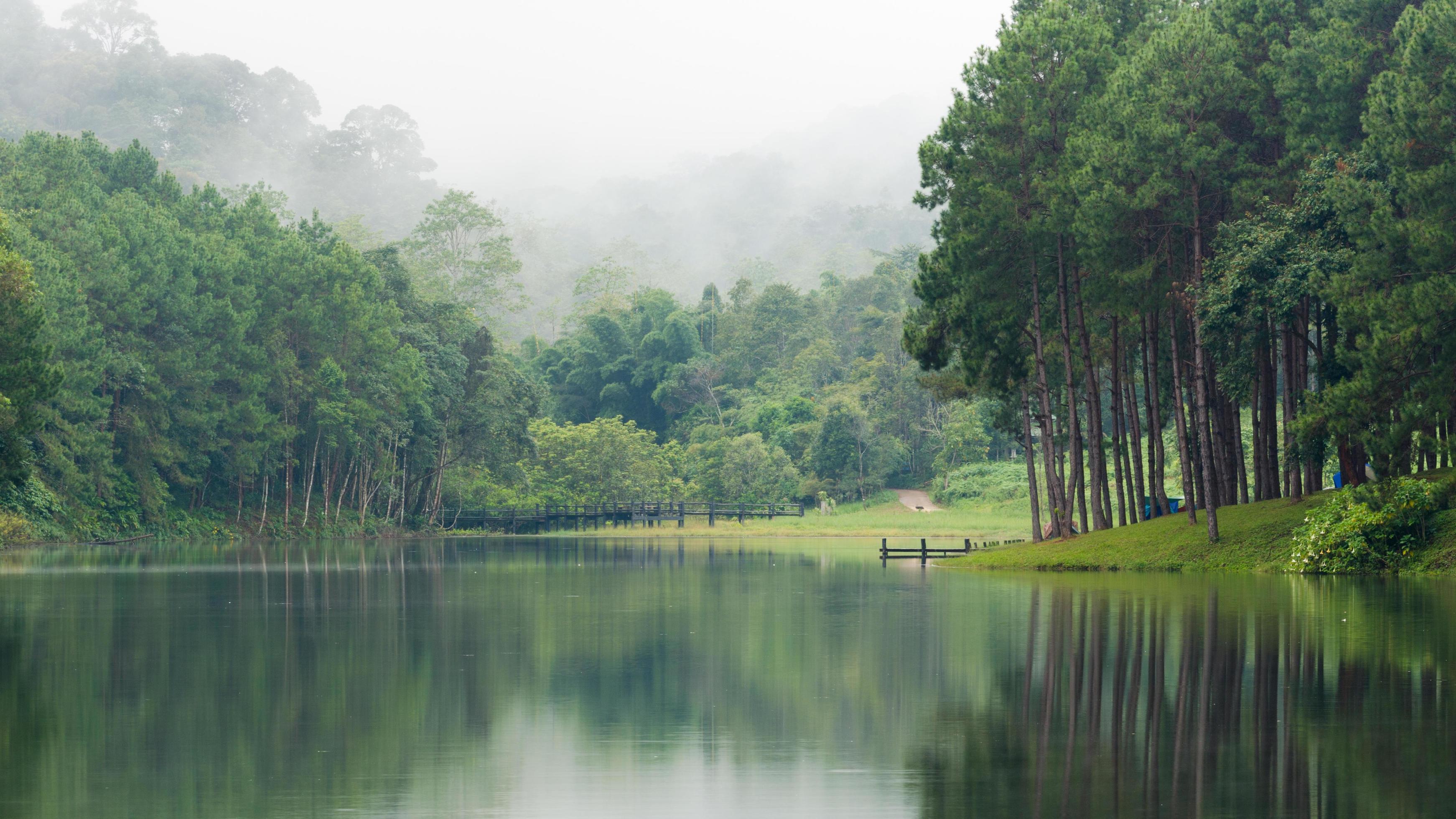 Nature landscape at morning of lakes and pine forests Stock Free