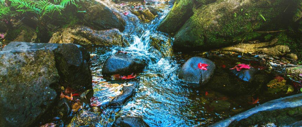 Natural background. Maple leaves on the rocks at the waterfall. Stock Free