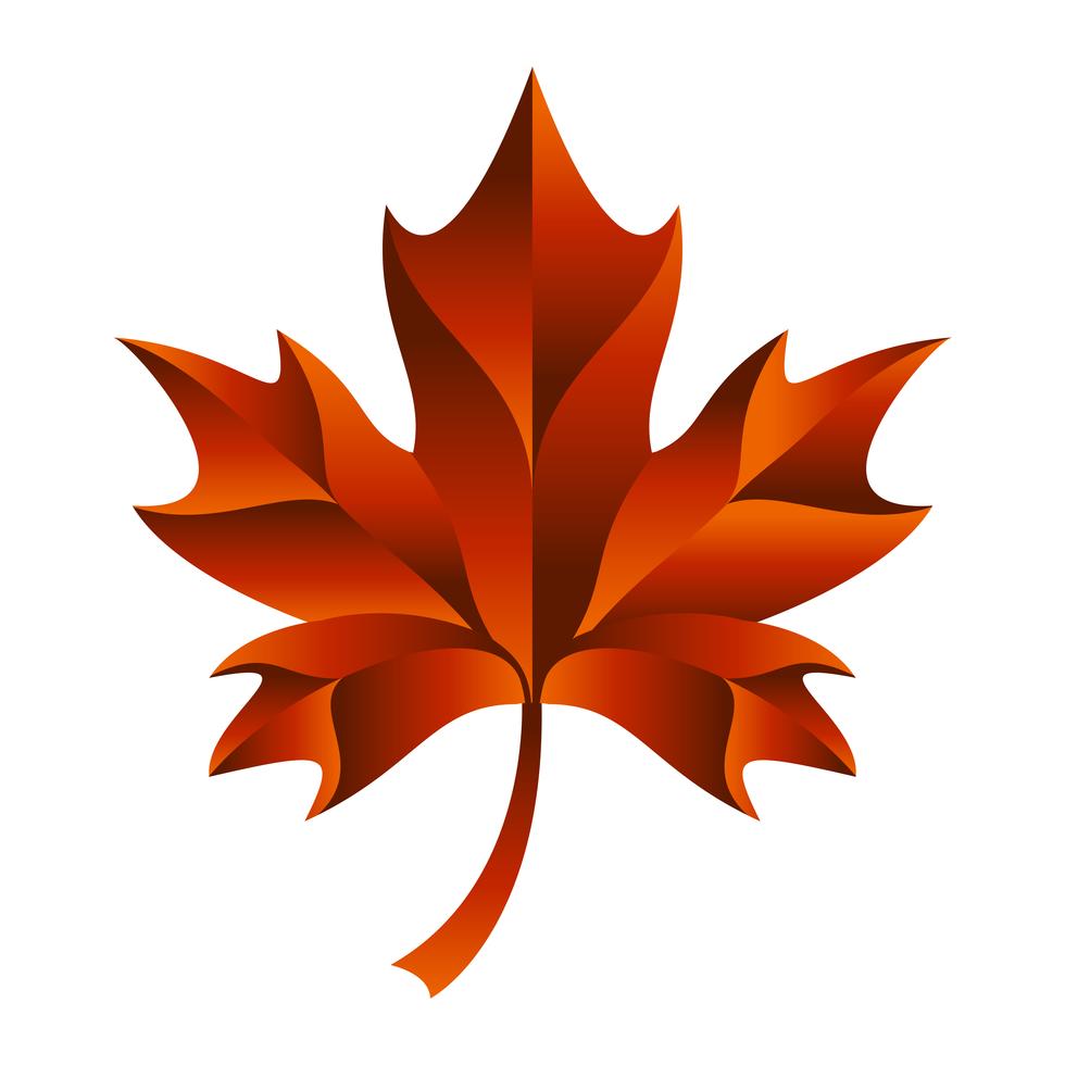 Autumn Maple Leaf vector logo Stock Free