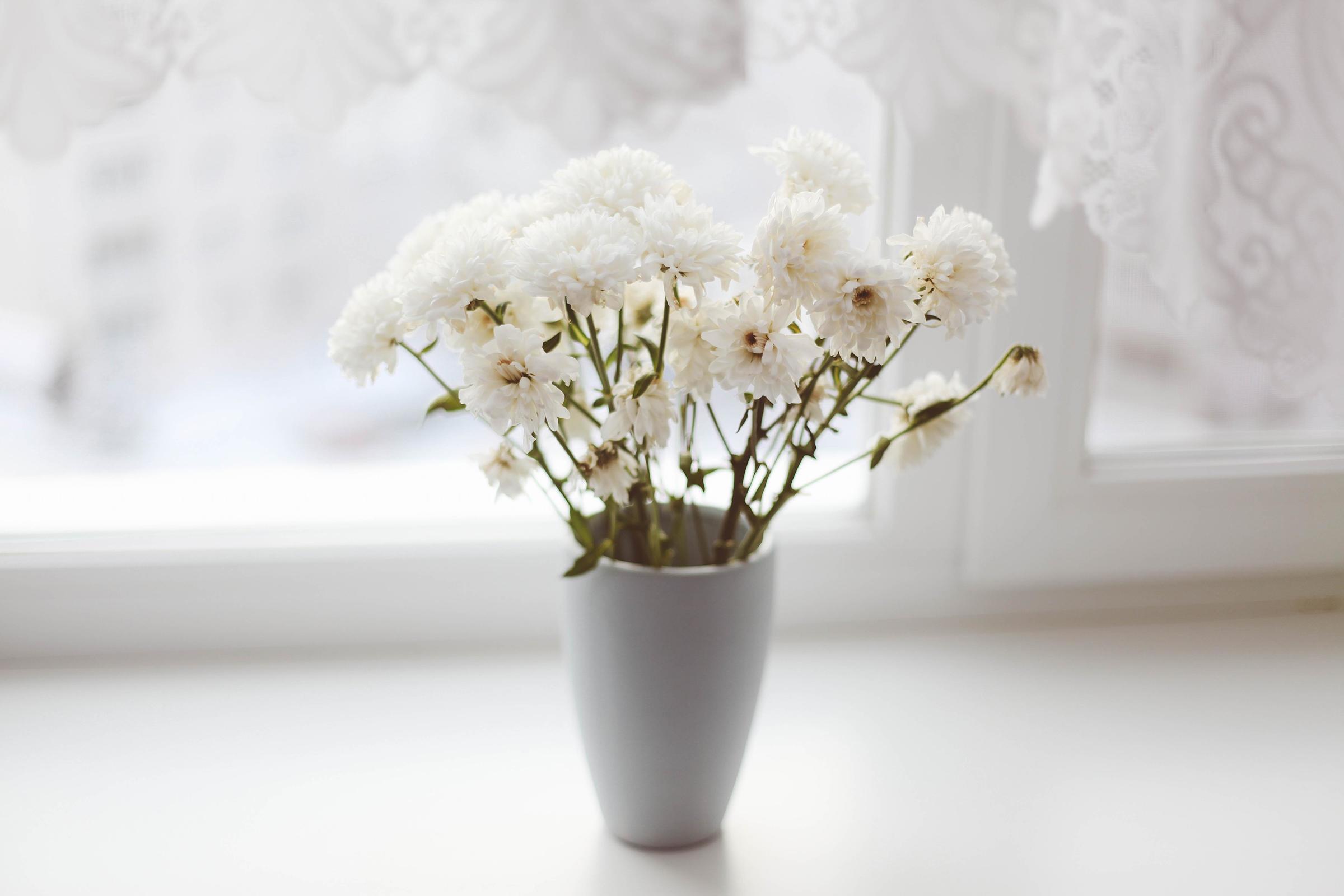 Bouquet of white flowers in vase Stock Free