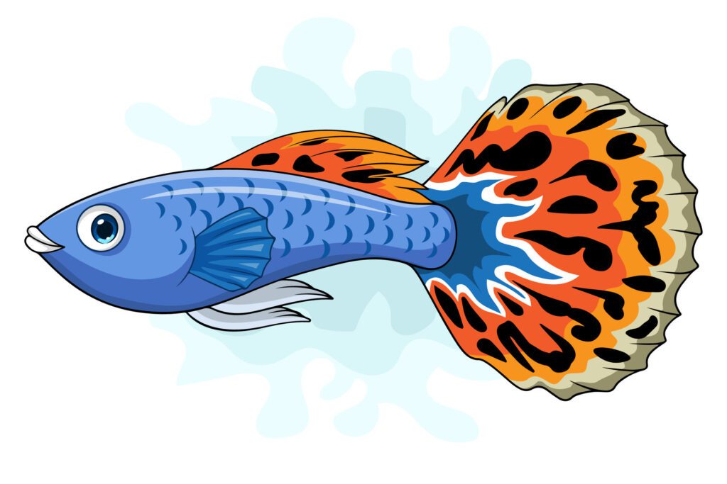 Cartoon guppy fish on white background Free Vector