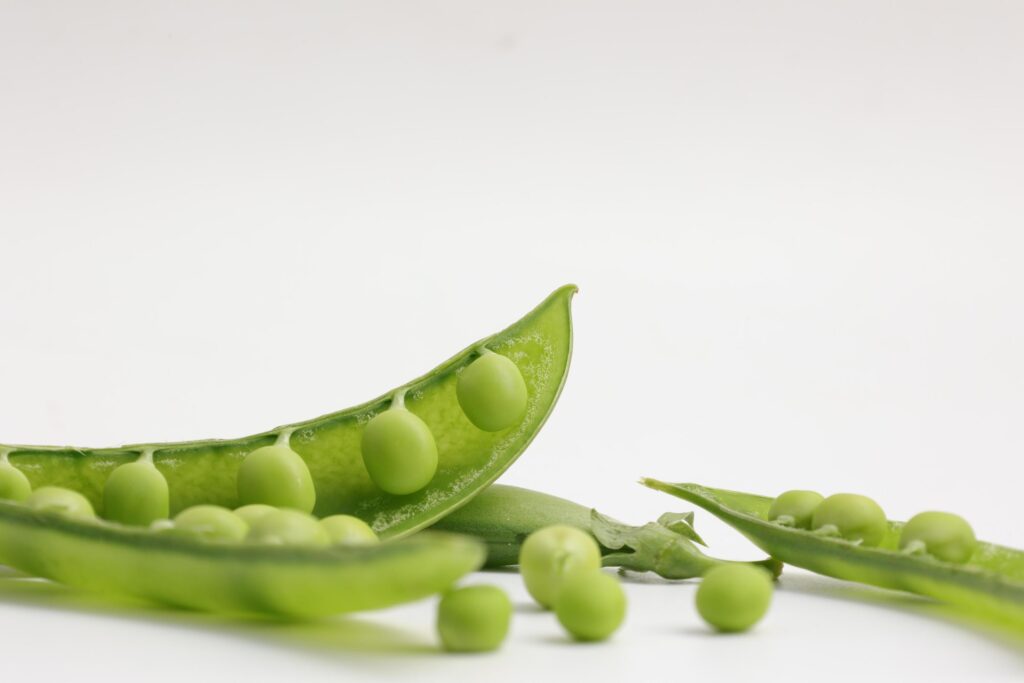 Pea on white background Stock Free