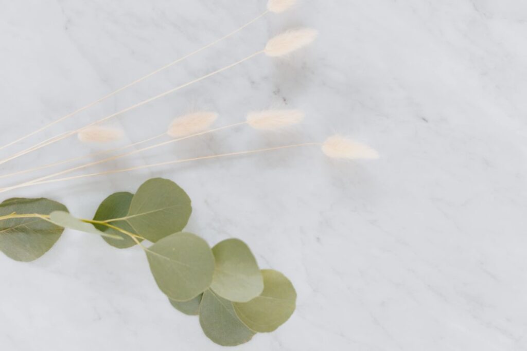 Dried flowers and eucalyptus on white marble Stock Free