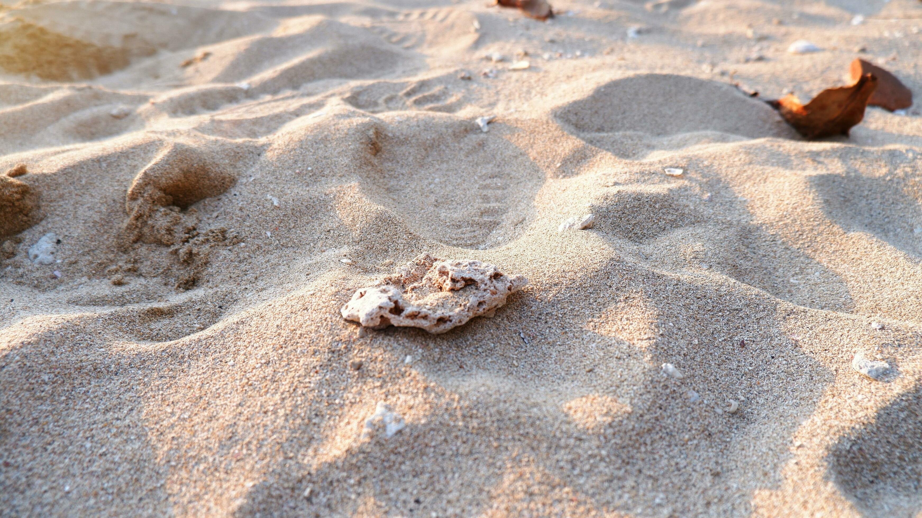 Full frame shot. Close up sand texture on beach in summer. Nature of sand on the beach. White beach sand of texture Stock Free