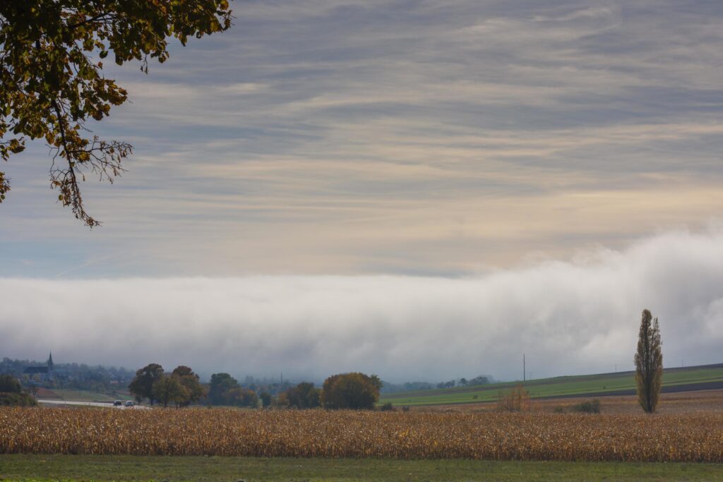 huge wall of white dense fog on the ground with fields and trees in the nature Stock Free